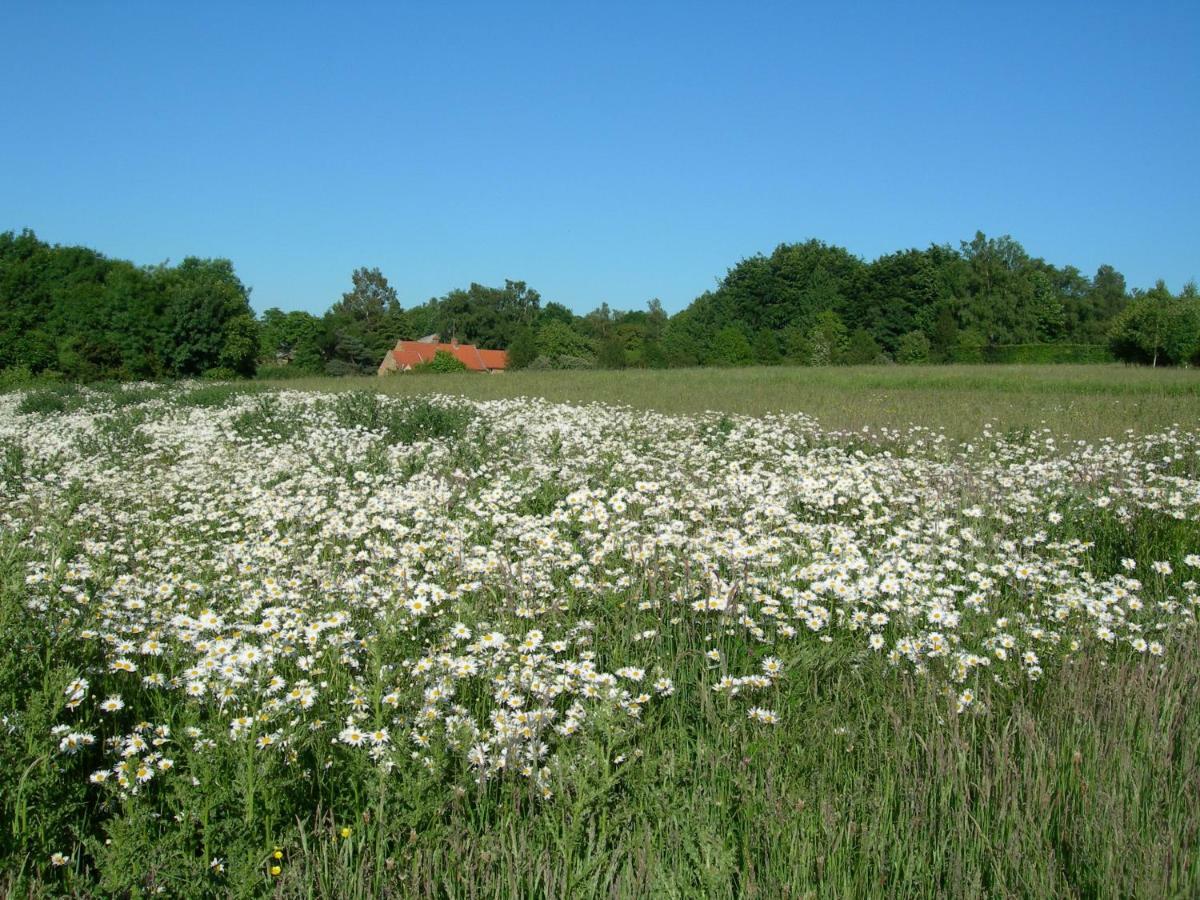 Heath Farm Holiday Cottages Swerford Dış mekan fotoğraf